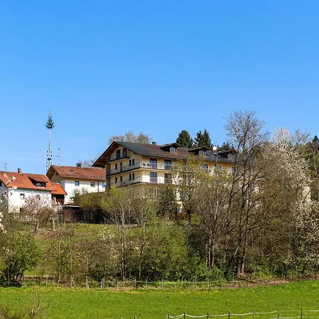 Отель Palmberger *