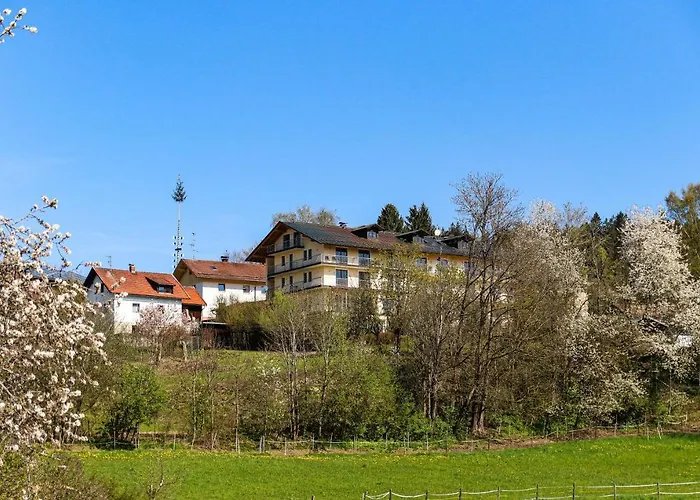 Hotel Palmberger *