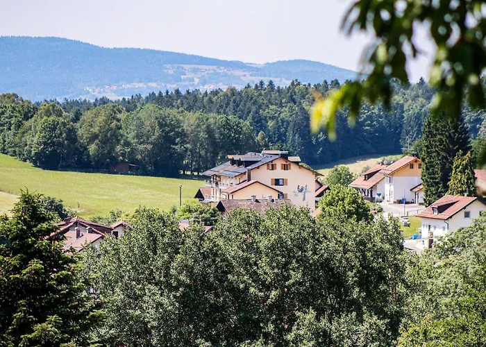 Palmberger Hotel Spiegelau